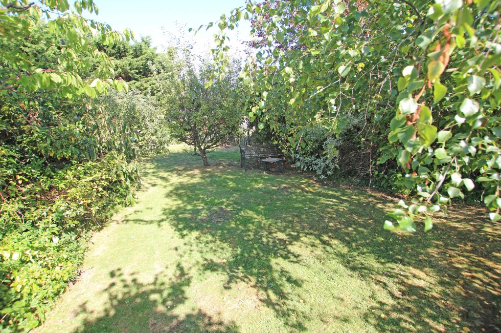 Lot: 129 - DETACHED BUNGALOW LET ON REGULATED TENANCY - Rear garden with lawn and trees taken August 2024